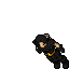 Hunter