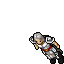 Knight