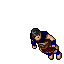 Arena Champion