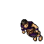 Arena Champion