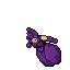 Royal Pumpkin
