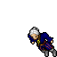 Pirate