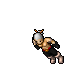 Assassin