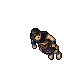 Arena Champion