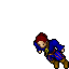 Pirate