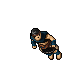 Arena Champion