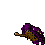 Beggar (Full Addons)