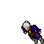 Pirate