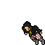 Pirate