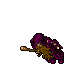 Beggar (Full Addons)