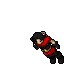 Hunter
