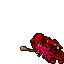 Beggar (Full Addons)