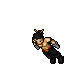 Assassin