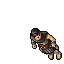 Arena Champion