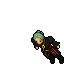 Pirate