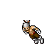 Assassin