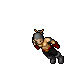 Assassin