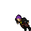 Pirate