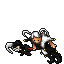 Jester (Addon 1)