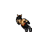 Assassin
