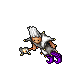Jester