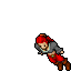 Pirate