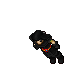 Hunter (Addon 1)