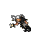 Jester
