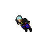 Pirate
