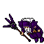Elementalist (Full Addons)