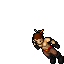 Assassin