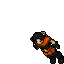 Hunter