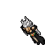 Wizard
