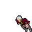 Pirate
