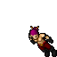 Assassin