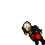 Pirate