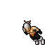Assassin
