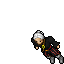 Pirate