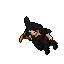 Spook'n'scare