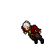 Pirate