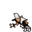 Jester