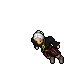 Pirate