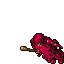 Beggar (Full Addons)
