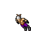 Assassin