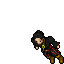Pirate