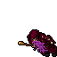 Beggar (Full Addons)