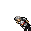 Knight