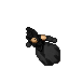 Royal Pumpkin