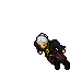 Pirate