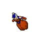 Royal Pumpkin